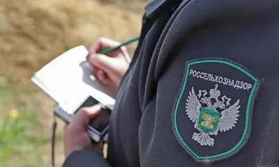 В 35 из 37 обследованных на Орловщине хозяйств выявлены нарушения