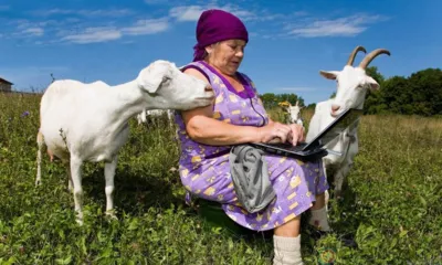 Более 3,2 тыс. орловцев проголосовали за подключение деревень к интернету