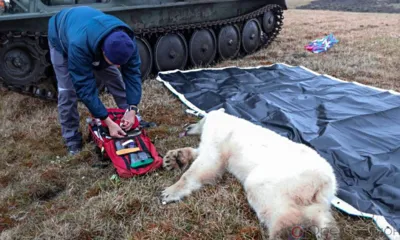 Итоги недели…