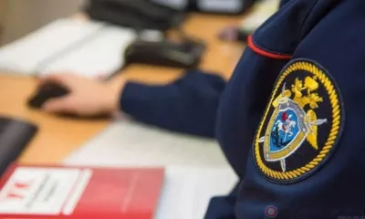 В Орле возбудили уголовное дело из-за незаконной вырубки деревьев