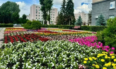 На клумбы Орла продолжают высаживать цветы