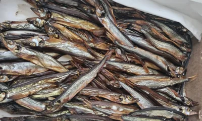 В магазинах Должанского района торговали просрочкой