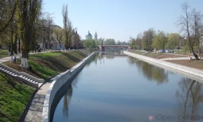 На набережной в Железнодорожном районе Орла высадят 111 деревьев