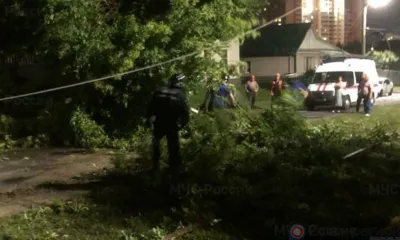 На Орловщине из-за непогоды нарушено электроснабжение в 22 муниципалитетах