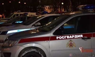 Новости Росгвардии: В Орле задержали мужчину, избившего посетительницу бара