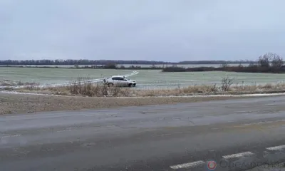 Лиса спровоцировала ДТП на орловской трассе