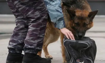 Орловцам напомнили правила антитеррористической безопасности в канун Нового года