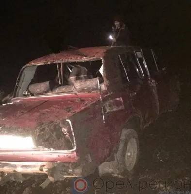 На автодороге «Орёл - Тамбов» ВАЗ-2106 улетел в кювет и перевернулся