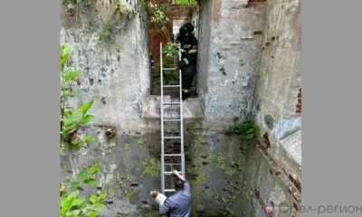 10 мая орловские спасатели помогли выехать из грязи автомобилю «скорой» и спасли собаку