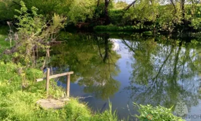 В Мценском районе трёхлетний ребёнок случайно упал в воду