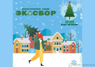 Орловцы могут сдать ёлки на переработку