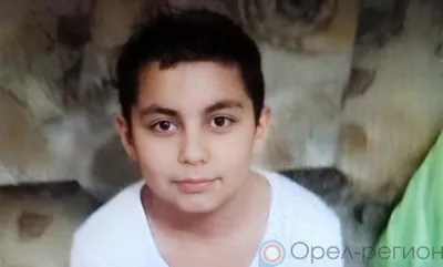В Орле возбуждено уголовное дело по факту исчезновения подростка