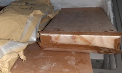 В орловском санатории нашли рыбу неизвестного происхождения