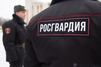 В Росгвардии рассказывают о военнослужащих и сотрудниках ведомства, которые спасли попавших в беду людей