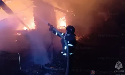 В Орловской области в пожаре погибли мужчина и пожилая женщина