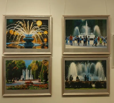 Фото 3. В Орловском краеведческом музее открылась выставка графики и фотографии «Сад фонтанов»