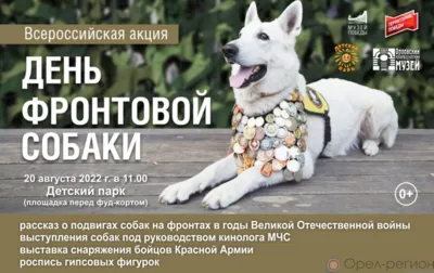 Орловцев приглашают в Детский парк на празднование Дня фронтовой собаки