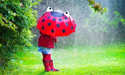 В Орловскую область идут сильные дожди и ветер