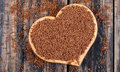 Орловщина отправила на экспорт более 237 тонн гречки