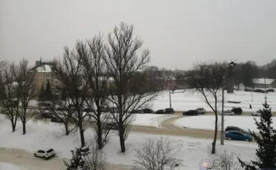 В Орле остановилось движение троллейбусов