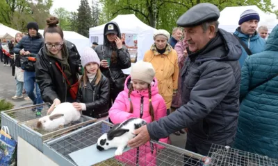 Орловщина на вкус