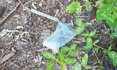 Орловец при задержании выбросил пакетик с наркотиками