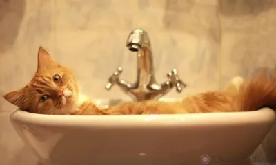 На трёх улицах Орла отключили горячую воду