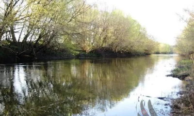 В Орловской области в рамках нацпроекта расчистят участок русла реки Сосны