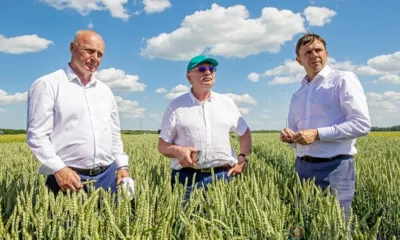 АПК региона продолжает успешно работать и развиваться, кормить Орловщину, Россию и мир