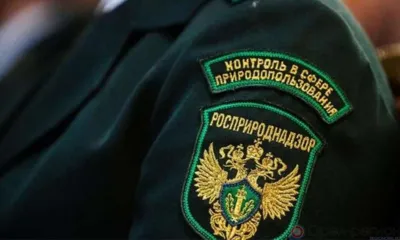 В Орле начальник управления эконадзора и природопользования обвиняется в превышении полномочий