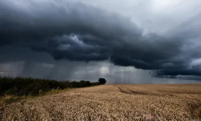Орловские энергетики готовы к непогоде