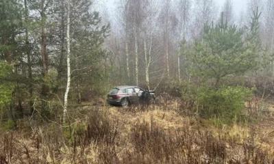 Под Орлом женщина пострадала при столкновении автомобиля с деревом