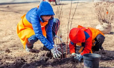 Андрей Клычков предложил орловцам превратить субботник в праздник