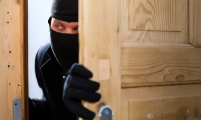 Под Орлом два друга обворовали дом