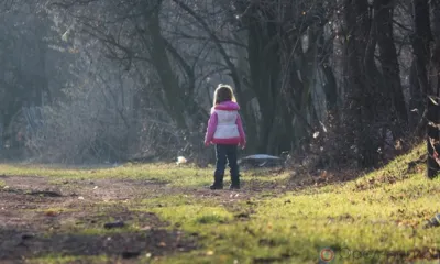 На контроле МЧС России - детская безопасность