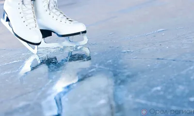 Звездуны на льду