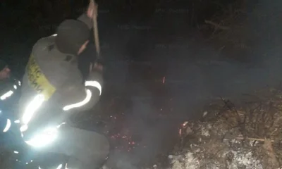 В Орле зафиксирован первый в этом году случай горения сухой травы