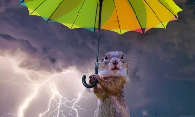 На выходных в Орловской области ожидаются ливни и грозы