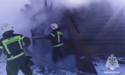 В Знаменском районе в пожаре погибли животные