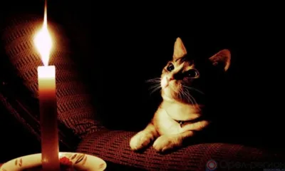 Сегодня в Орле некоторые улицы останутся без света, отопления и горячей воды