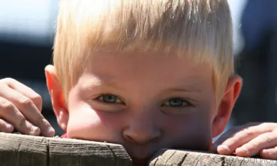 На проект «Движение вверх» город Ливны получил грант в размере 1,65 млн рублей