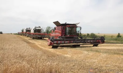 Орловские аграрии намолотили почти 4,5 млн тонн зерновых и масличных культур