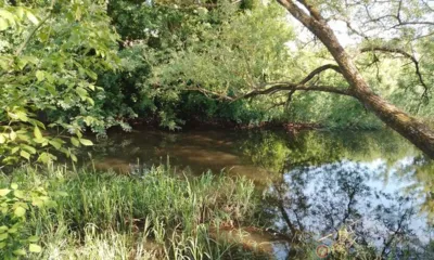 В реке Орлике утонул мужчина