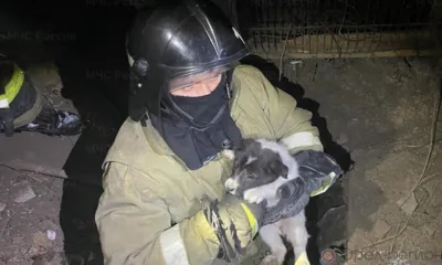 Мценские спасатели помогли щенку выбраться из ямы