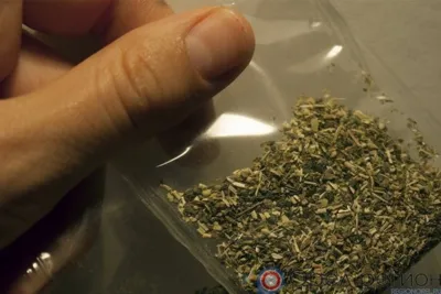 В Новосильском районе мужчина хранил марихуану в сарае