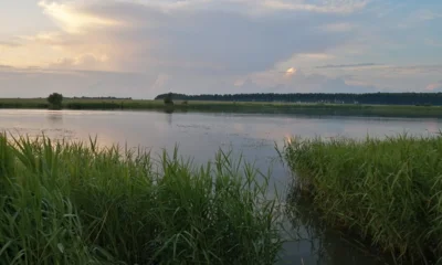 Восемь водоёмов попали в чёрный список орловского Роспотребнадзора