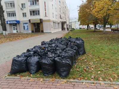 Фото 2. На бульваре Победы в Орле наводят чистоту