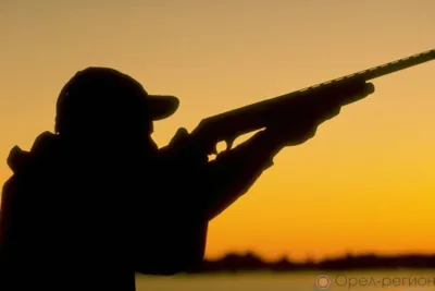 В Орловской области вводятся ограничения охоты