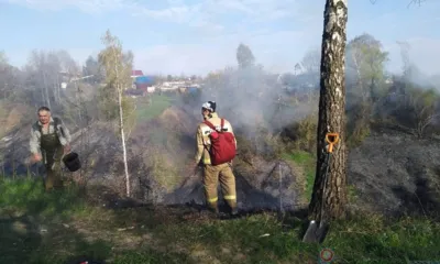 7 мая в районе СНТ «Здоровье» в Орле произошёл пожар