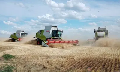 Земледельцы Ливенского района дали старт уборочной кампании-2022 на Орловщине